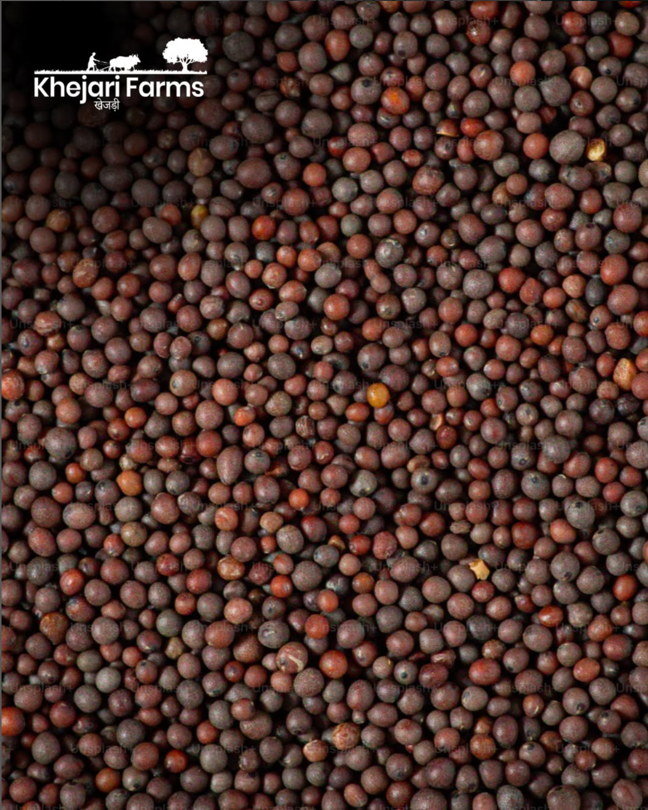 Black Mustard Oil