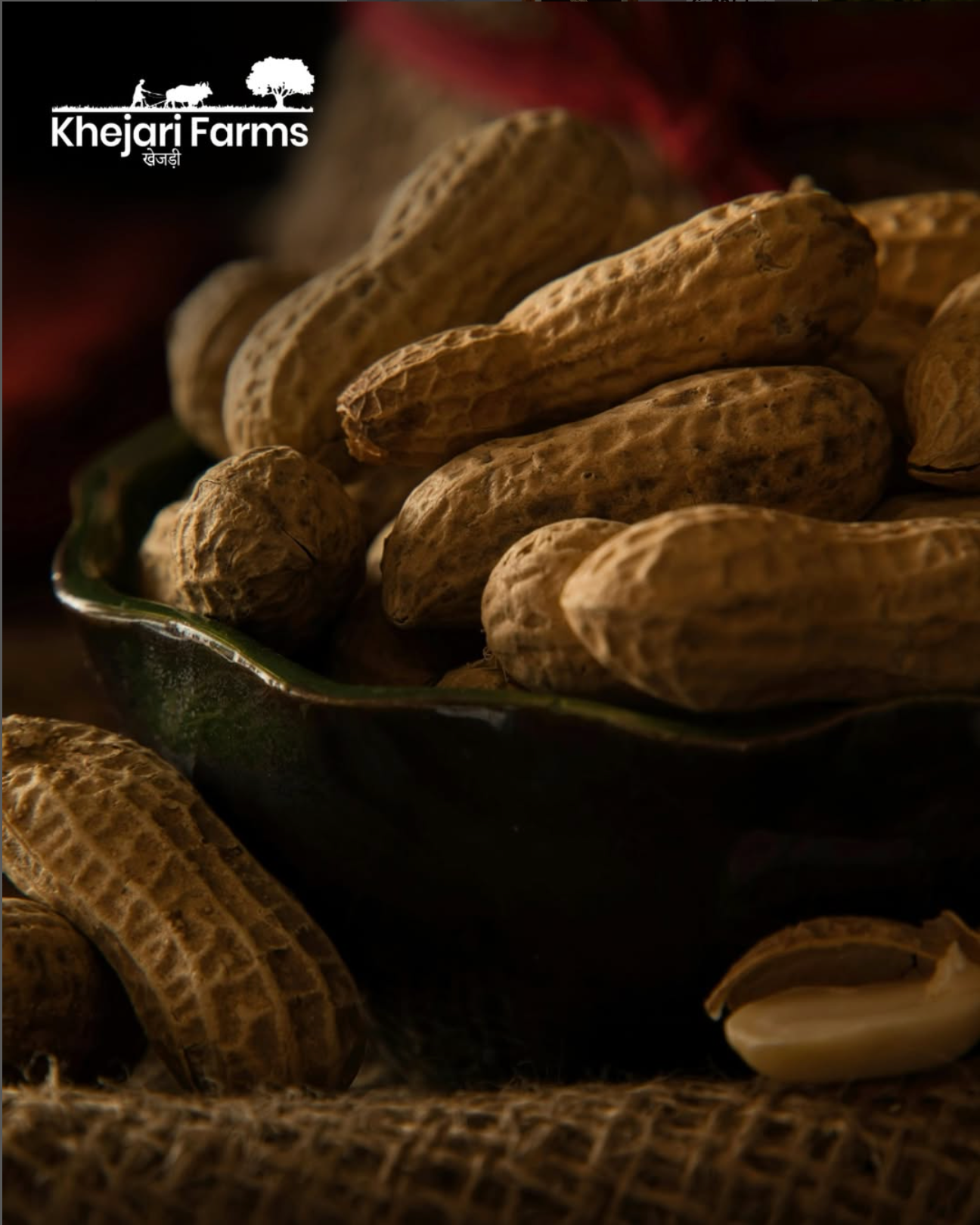 Groundnut Oil
