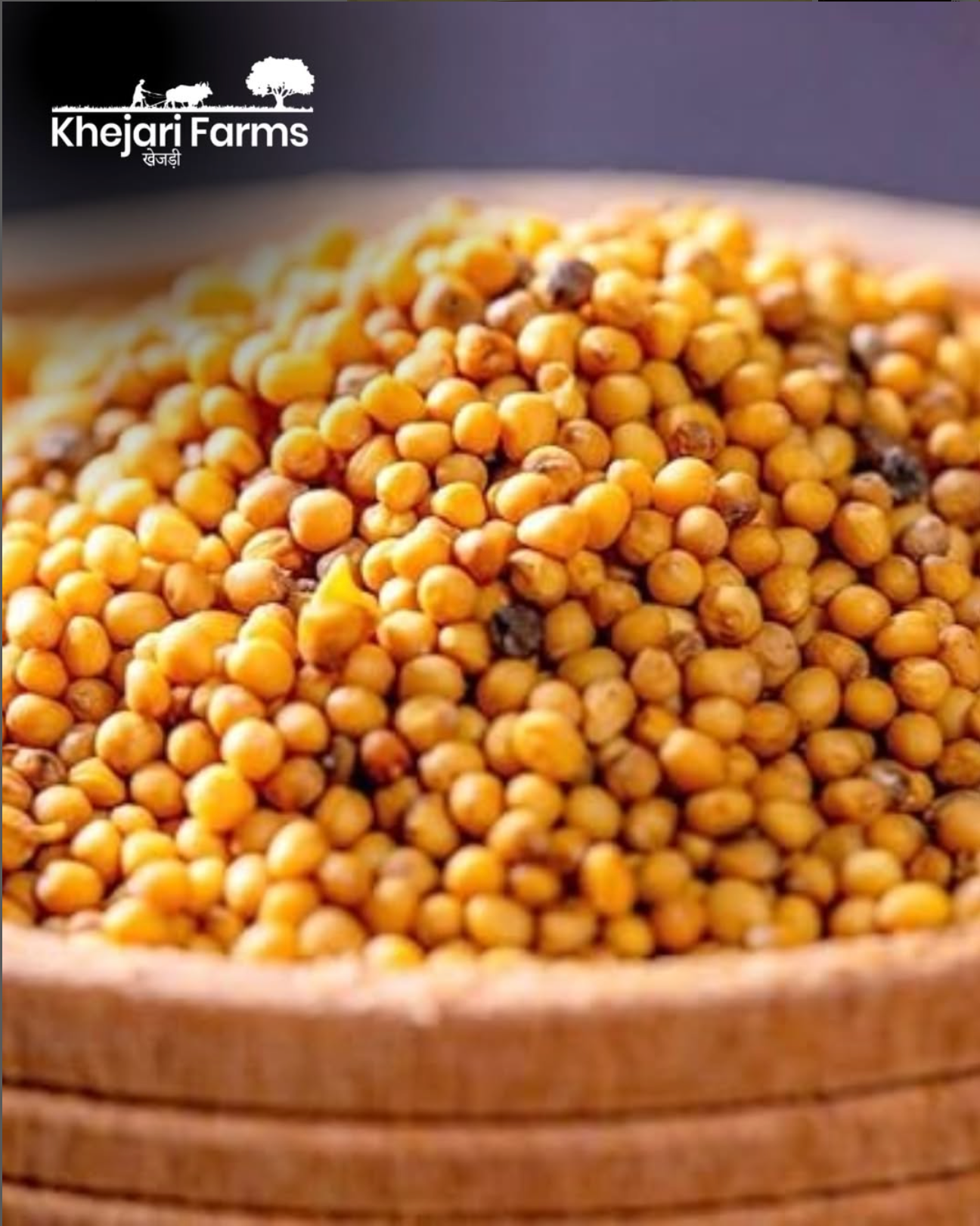 Yellow Mustard Oil