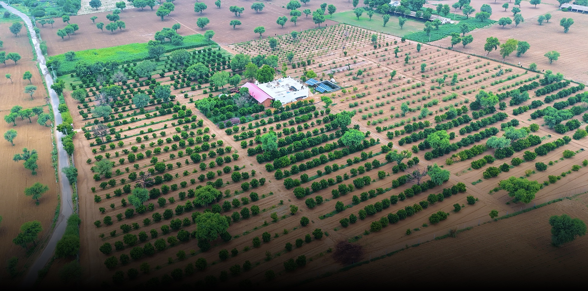 Aerial view of Khejari Farms in Sardarpura, Rajasthan